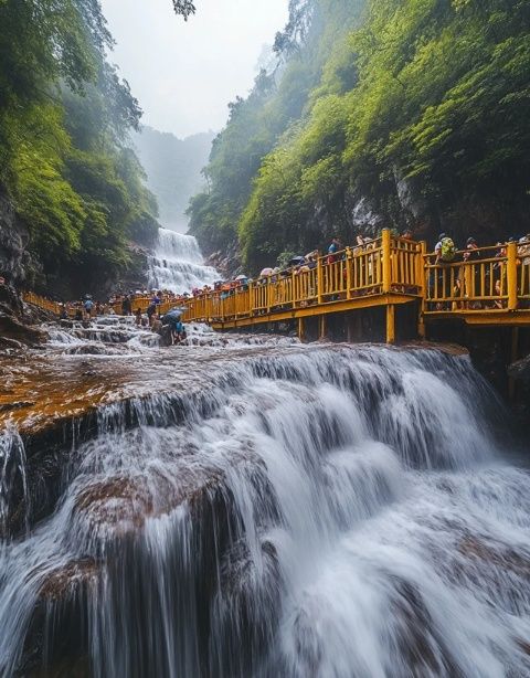 南宁至张家界旅游探秘:启程搭乘专列穿越奇山异水之旅