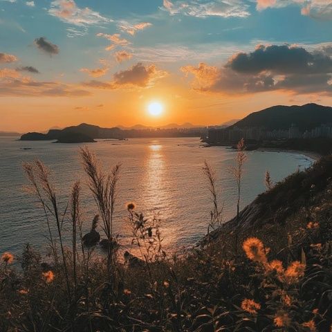 釜山旅行指南:探索海边网红景点!