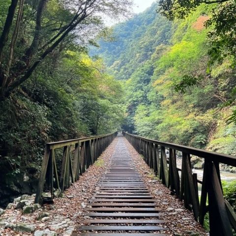 福建第一条出省铁路：鹰厦铁路的历史意义