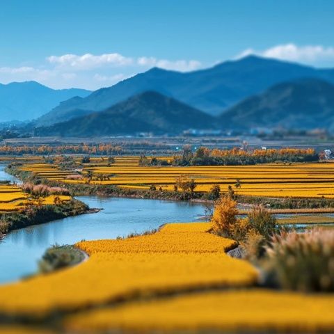 坐火车游西藏：探访雅尼湿地、尼洋河谷与色季拉山的自然风光