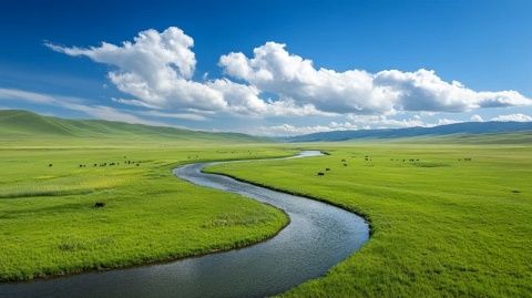 坐火车游西藏：探访雅尼湿地、尼洋河谷与色季拉山的自然风光