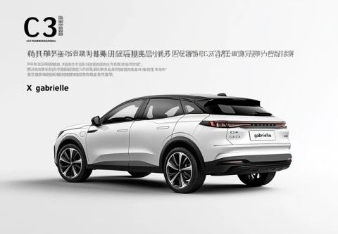 揭秘:9大中国汽车品牌闪耀国际电动车市场,比亚迪领衔!