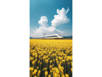 朝阳至凌海南铁路全线开工 将使锦州到北京时间缩短一小时