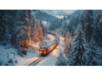 绿皮火车为何能在暴雪中正常运行？揭秘背后的原因