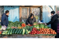 火车上的流动集市：探秘独特列车菜市场