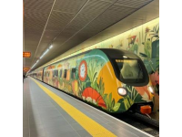 乘坐T字头绿皮车，夜行杭州南站至清晨