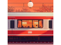 从哈尔滨直达海口的特快列车Z114，全程运行46小时