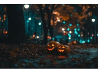 11月23日夜乘坐火车到南京、看甘熙故居熙南里旧书集市