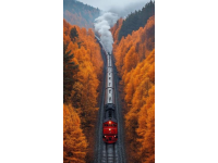 黑龙江火车惊现出轨：多节车厢倾斜乘客紧急疏散