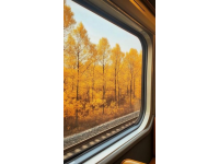 从宁波到河南洛阳的火车，在这个城市竟然停车时间75分钟，这是什么原因？