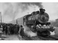 辽宁省沈阳市，五位青年男女，一同搭乘火车奔赴三亚,他们手捧十箱啤酒