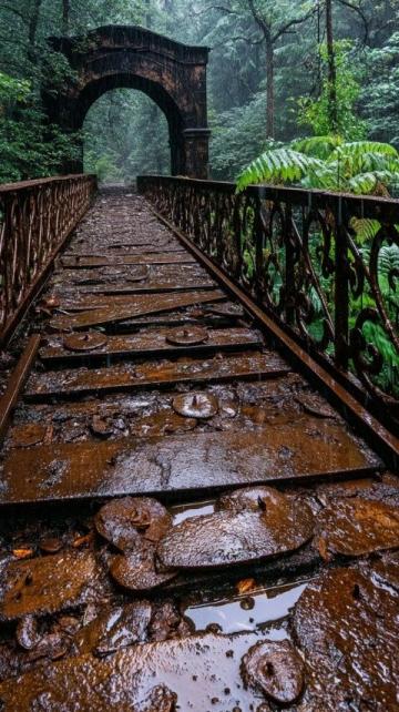 宜兴窑湖小镇小火车探险:童话般的雨中之旅