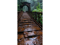 宜兴窑湖小镇小火车探险：童话般的雨中之旅