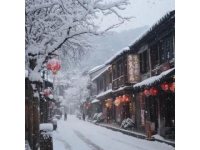 全国多地罕见降雪，高速封闭列车停运；河南暴雪成囧途，昆明、广东也下雪