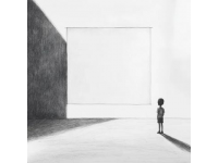 孕妇动车遇袭致早产儿夭折，行李脱落责任归属引关注