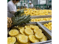 中老铁路开通冰鲜水产品专列，带来东南亚海鲜市场新活力