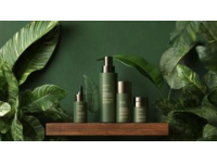 独特之旅：揭秘Z258次绿皮火车的特别之处