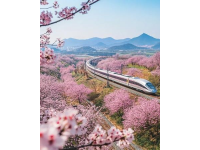 春节返程高峰期火车不让乘客上车究竟是何原因？铁路部门给出回应！