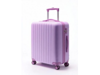 高铁行李砸中孕妇致胎儿不幸夭折，引发公众反思安全问题