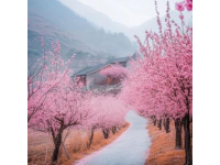 圆通山樱花秒空！昆明地铁挤爆，全网疯传开往春天的列车！