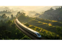 绿皮火车的独特魅力：与高铁的并行之道