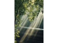 我坐过最久绿皮火车,是什么样的感受?