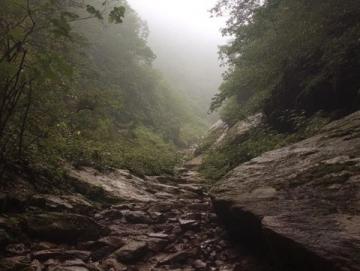 K267停开,K4627踏春列车接棒:一趟不一样的旅程