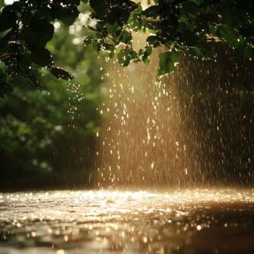 驻马店多趟列车停运!强降雨天气影响广州至周口、烟台等线路暂停运行,注意最新动态!