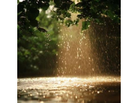 驻马店多趟列车停运！强降雨天气影响广州至周口、烟台等线路暂停运行，注意最新动态!