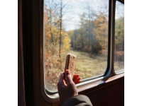 乘火车携带酒类和小动物的规定是什么?