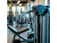 部分列车停运信息