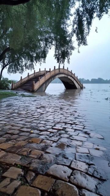 大暴雨阻挡亲情之行:妻子赴沪、侄女往桂受阻