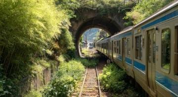 D3014次列车因触碰鸟类暂停运行