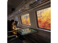 上海至兰州D216/217次列车途径站点时刻表及票价一览