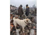 黑龙江列车脱线事件通报无人员伤亡，旅客可办理全额退票