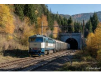 疫情期间乘坐火车需注意：部分车次停运及调整行程安排