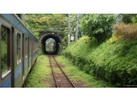 铁路部门临时调整车票预售期至10月9日，九月底起恢复30天预售安排，请留意变更！