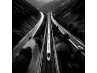 点赞温州这三个高铁站，暖心接待携导盲犬旅客