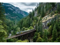 银发专属旅行列车上路：专享悠哉时光，带您慢游每一程