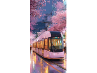 日本西武铁路新型特快列车“Laview”投运