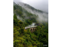 庐山秋游随心而归，成都至宁波快速列车意外惊喜之旅