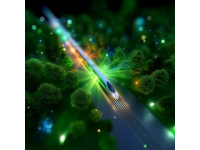 在广袤的大地上，火车风驰电掣般地穿梭往来