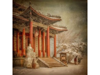 春节赏雪，宝鸡列车邀你观岭南美景与蜿蜒山道