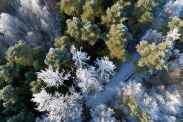 长白山冬季专列攻略:畅游雪国美景与文化风情