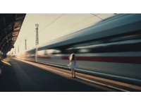 老人带狗子坐高铁,路上竟然遇到这样一件事!