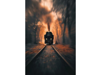 印度火车相撞截至目前已致207死900伤，伤亡人数还在进一步增加