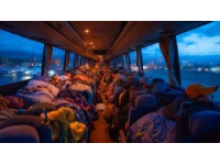 四川一火车上有猪羊成群穿行，列车长不收费或仅需二三十块钱。