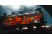 列车带走的不只是回忆：城乡变迁下的故乡情愫