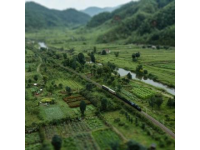 青岛至通化列车沿途美景航拍视频