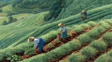 小火车运瓜,田间新风景